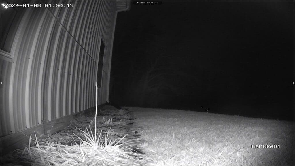 screenshot of security camera footage with glowing eyes